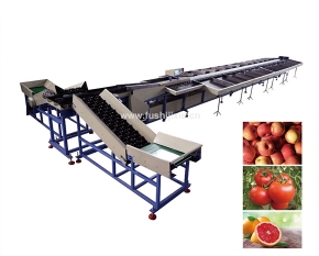 double line electronic fruit grading machine