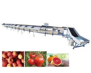 single line electronic fruit grading machine