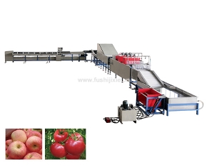 single line electronic fruit grading machine